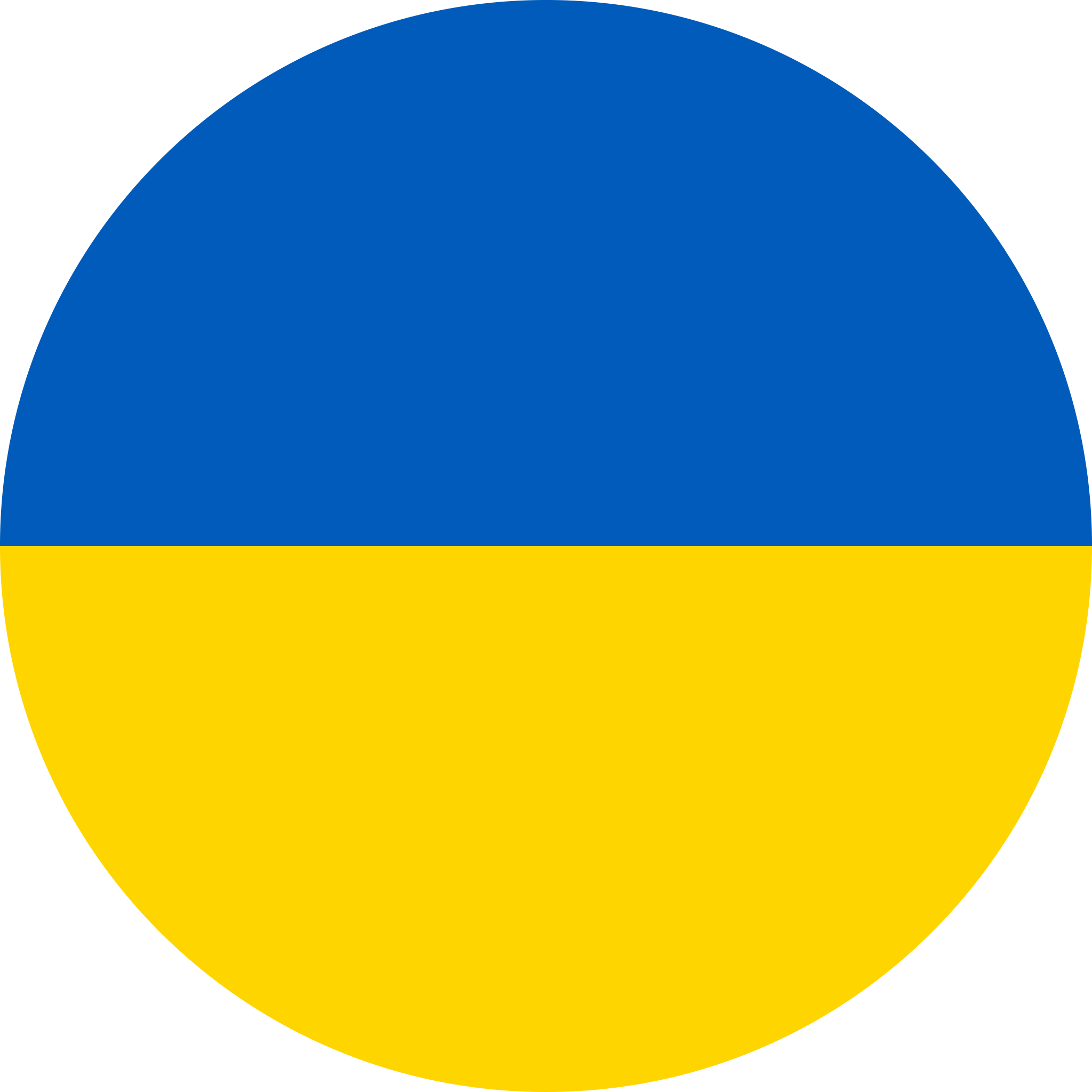Ukraine flag round